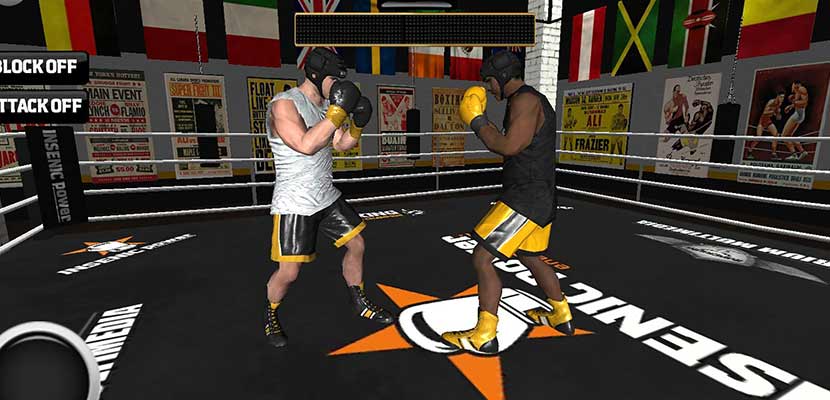 Boxing Road To Champion