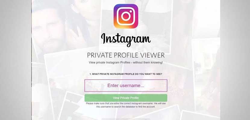 4. Private Instagram Viewer