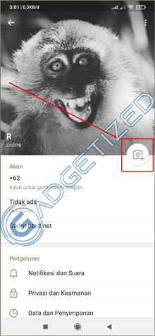 Kemudian klik icon Kamera pada foto profil atau tekan Set Profile Photo