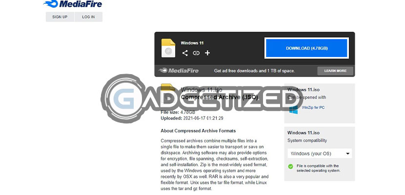 Download File ISO Windows 11