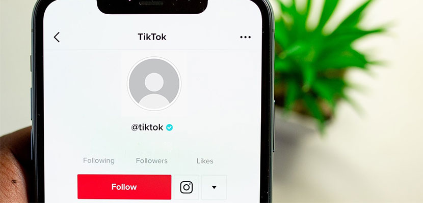 Cara Menghapus Foto Profil di TikTok