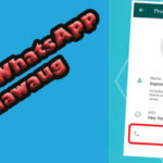 Nomor WhatsApp Miawaug Asli Biodata & Pacar