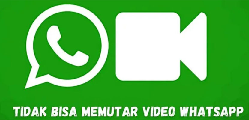 WhatsApp Tidak Bisa Memutar Video
